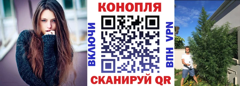 Виды наркотиков купить Отрадная Кодеин  Alpha PVP  Героин  ГАШ  Конопля  Кокаин  МЕФ  Галлюциногенные грибы 