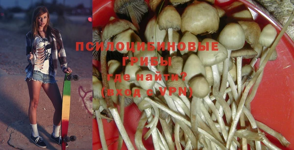 трава Абаза