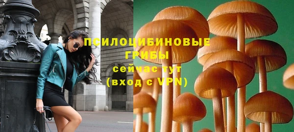 не бодяженный Алзамай