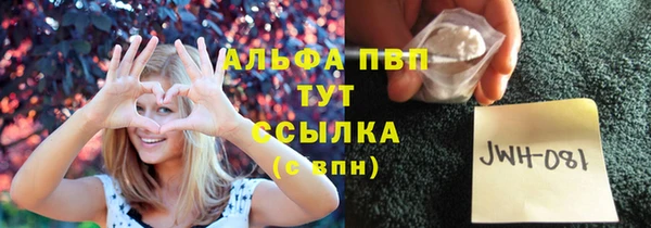 молекула духа Ростов
