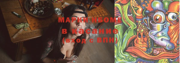 ПСИЛОЦИБИНОВЫЕ ГРИБЫ Алексин