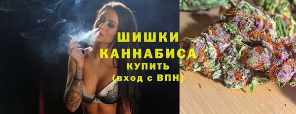 ПСИЛОЦИБИНОВЫЕ ГРИБЫ Алексин