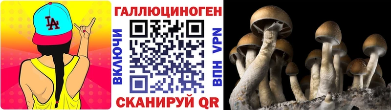 Псилоцибиновые грибы MAGIC MUSHROOMS наркотики Отрадная